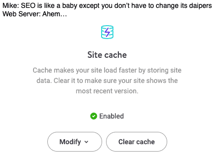 Mike: "SEO is like a baby except you don't have to change its diapers". Web Server: "Ahem..." Then a screenshot from a web server interface prompting the admin to clear the server's cache.